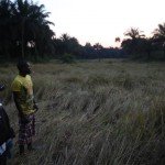 Men standing in a grassy field at sunset, bordered by palm trees.