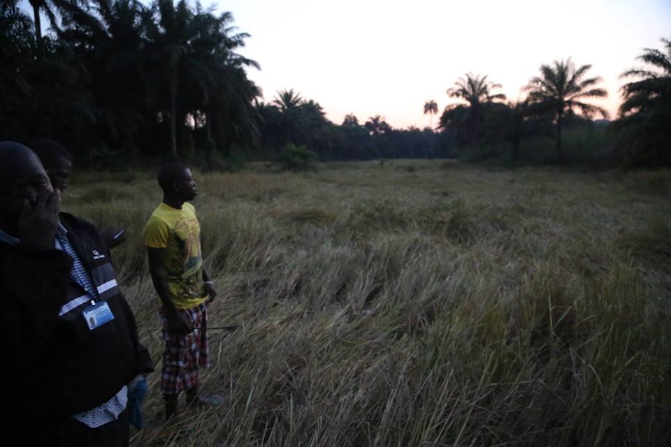 Men standing in a grassy field at sunset, bordered by palm trees.
