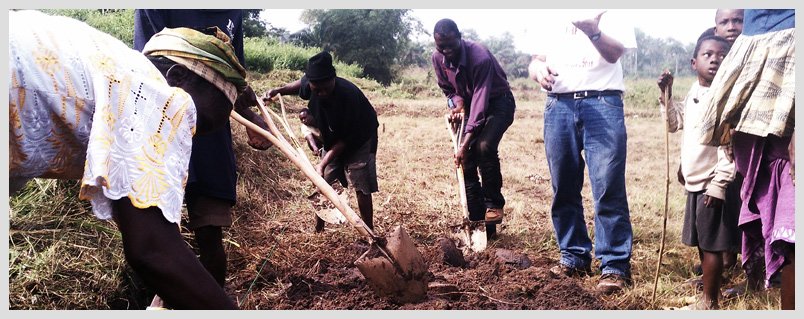People working together in a field, digging and preparing soil for planting under a clear sky.