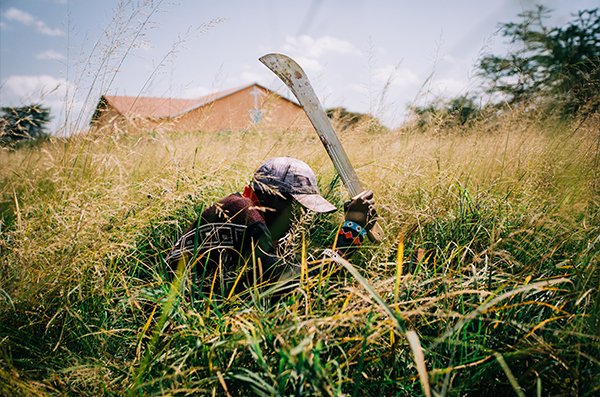 Person cutting tall grass with a machete in a sunny field, building in background.